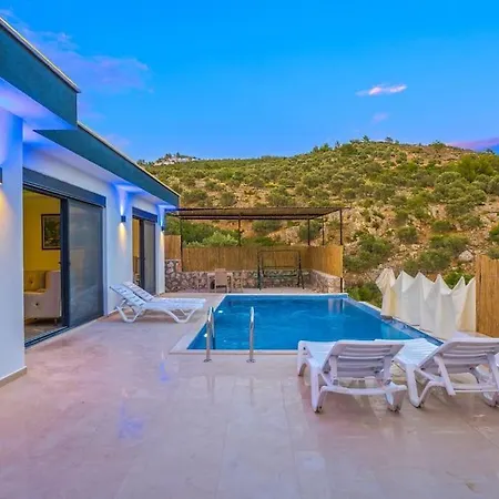Cozy Mari With Pool In Peaceful Nature Kalkan-kas Villa